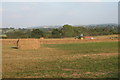 Haymaking