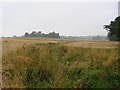 NT3866 : Arable parkland, Cranstoun Riddel. by Richard Webb