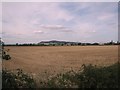 Fields near Toddington