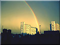 Rainbow over Doddington & Rollo Estate