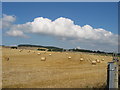 Harvest scene on the Kinross/Fife border