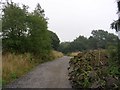 Trans Pennine Trail