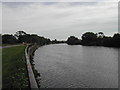 River Trent at Fiskerton