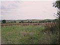 SO9146 : Fields near Ramsden by Dave Bushell