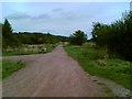 Shirebrook Nature Reserve