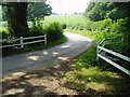 Sharp bend over the stream