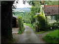 Lane and footpath to the Ashdown Forest