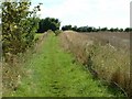 Footpath to Warrens Chase