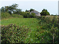 Cottages, Westnewton