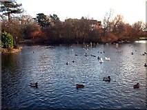  : People's Park by David Wright