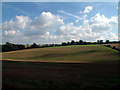 View east from Beddlestead Lane, CR6