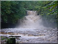 Waterfall in Flood