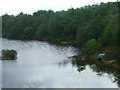 Fishing Pond, Cadover Bridge