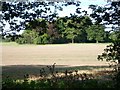 TQ1955 : Fields beside Headley Road by Andrew Longton