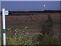 Footpath to the Moon