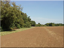 SP7307 : Ploughed field and Hook Covert, Haddenham by David Hawgood