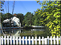 Pond, Headley Common, Great Warley