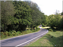SU2911 : Minor road between Hazel Hill and Yolsham Hill, New Forest by Jim Champion