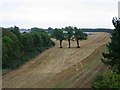 Stubble field, near Stirling