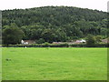 Edge of Llangollen below Pen-y-coed