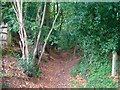 Sunken Lane, Fyning Hill, Rogate, West Sussex