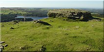 SX5569 : Peek Hill, Above Burrator Reservoir, Devon by Pete Chapman