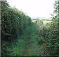 Public Footpath between Horrabridge and Buckland Monachorum, Devon