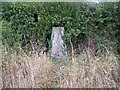 Trig Point, Little Green, Weston Hill.