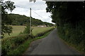 Country road leading up to Woolhope Cockshoot