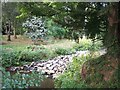 Weir in the grounds of Hopton Lodge