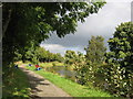 Forth and Clyde Canal near Hungryside Bridge, Torrance