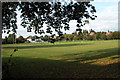 Flag Meadow, Worcester