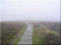 SJ9964 : Foggy Footpath by Dave Smethurst