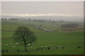 Ayrshire countryside