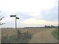 Footpath to Cholley