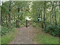 SU7829 : Liss Riverside Railway Walk, Liss Forest, Hampshire by Anthony Brunning