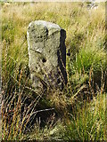 SD9533 : Gatepost on Greave Pasture by John Illingworth