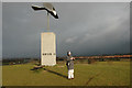 Bird Sculpture above Great Notley Country Park