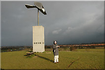 TL7321 : Bird Sculpture above Great Notley Country Park by Chris Clarke