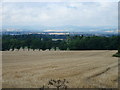 Vale of Strathmore and the distant Grampians