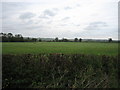 Lay-by off A41 looking north