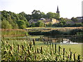 Wetland, Wath-upon-Dearne