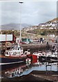 Mallaig Harbour