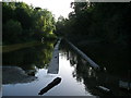 Old watercress beds at Letcombe Bassett