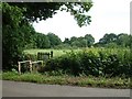 Playing Fields, Moreton