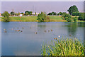 Pond nr Barrow, Whalley