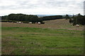 Straw bales near Oldgore Farm