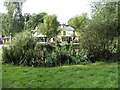 Pond with Orange Tree Public House in background