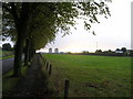 Avenue of trees leading to Arkleston Cemetery