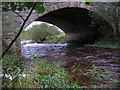 Bridge Over White Cart Water